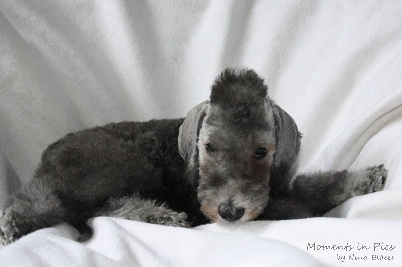 Antares 2009-08-01 & 02 (14).JPG